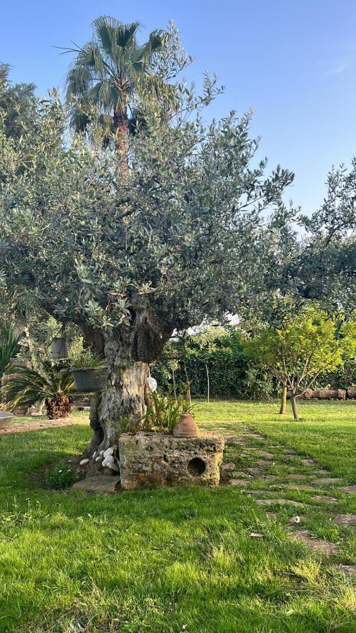 CastelvetranoLa Finestra Sul Limone住宿加早餐旅馆 外观 照片