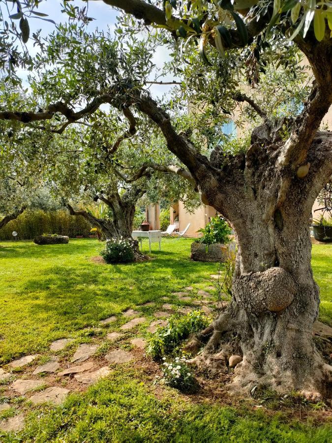 CastelvetranoLa Finestra Sul Limone住宿加早餐旅馆 外观 照片