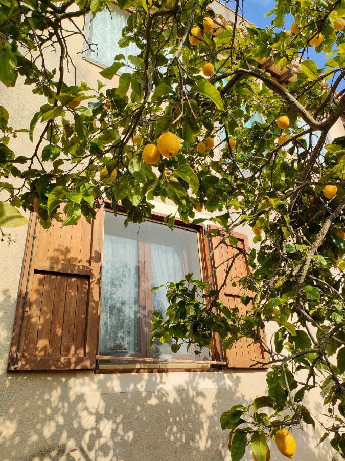 CastelvetranoLa Finestra Sul Limone住宿加早餐旅馆 外观 照片